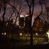 Bronx Man Arrested For Attempted Rape In Central Park